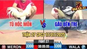 Trận 27 CPC3 17/7/2025 - Gà Úa Anh Tú Hóc Môn Đâm Cựa Như Chỉa