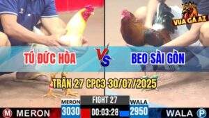 Trận 27 CPC3 30/7/2025 - Điều Chân Xanh Anh Beo Đâm Úa Nằm Thẳng Cẳng