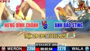 Trận 28 CPC1 7/7/2025 - Camelo Đá 1 Cước Điều Cọp Bảo Sting Té Hết Cứu
