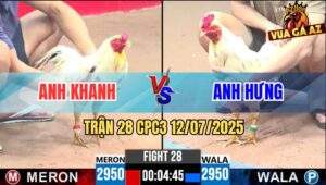 Trận 28 CPC3 12/7/2025 - Bướm Hiệu Anh Hưng Đâm Cựa Như Cái Máy