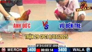 Trận 29 CPC1 8/7/2025 - Điều Mồng Lá Má Mồng Dâu Đá Đâu Thắng Đó