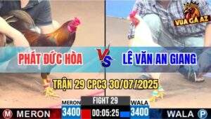 Trận 29 CPC3 30/7/2025 - Gà Khét Anh Phát Đức Hòa Đá Cựa Như Sam Sít