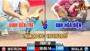 Trận 30 CPC3 17/7/2025 - Xám Mồng Lá Anh Hòa Biền Đâm Cựa Bao Thấm