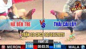 Trận 32 CPC3 30/7/2025 - Điều Chân Xanh Bú Chân 1 Đối Thủ Gãy Giò