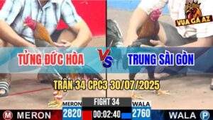 Trận 34 CPC3 30/7/2025 - Xám Điều Anh Tửng Đá Điều Anh Trung Chạy Chết