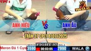 Trận 37 CPC1 8/7/2025 - Gà Anh Hiếu Đá 1 Cây Cựa 1 Sút Đối Thủ Gãy Giò