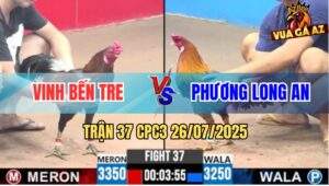 Trận 37 CPC3 26/7/2025 - Anh Vinh Bến Tre Và Anh Phương Long An