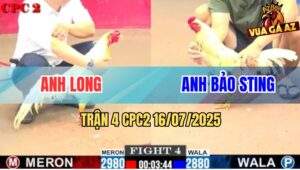 Trận 4 CPC2 16/7/2025 - Bướm Hiệu Bảo Sting Đâm Bướm Anh Long Tai Biến