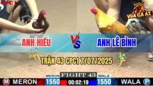 Trận 43 CPC1 7/7/2025 - Gà Cú Anh Lê Bình Đá Gà Điều Tắt Điện Nằm Đống