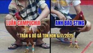 Trận 6 Bồ Ton Hon 6/7/2025 - Anh Bảo Sting Và Anh Luân Campuchia