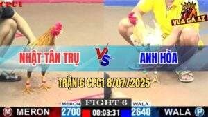 Trận 6 CPC1 8/7/2025 - Đám Bướm Hiệu Anh Hòa Đâm Cựa Quá Tịch