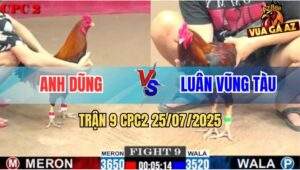 Trận 9 CPC2 25/7/2025 - Điều Chân Vàng Đâm Chật Khớp Gối Chân Trắng