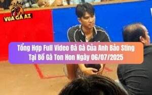Tổng Hợp Full Video Đá Gà Anh Bảo Sting Tại Bồ Ton Hon Ngày 6/7/2025