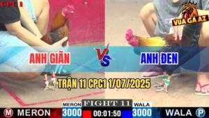 Trận 11 CPC1 1/7/2025 - Gà ĐIều Chân Trắng Mẻ Hiêu Anh Đen Đá Quá Hay