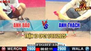Trận 13 CPC1 1/7/2025 - Gà Điều Anh Bảo Bị Dí Bạc Nhưng Thắng Áp Đảo