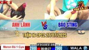 Trận 16 CPC2 27/7/2025 - Bảo Sting Lụm Xổ Nhẹ Nhàng Khi Gặp Kèo Ăn 4