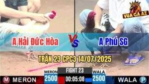 Trận 23 CPC3 14/07/2025 - Gà Anh Hải Đức Hòa Đá Ít Nhưng Hiệu Quả