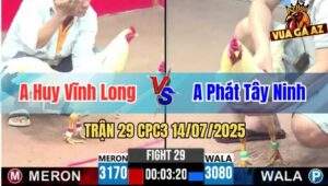 Trận 29 CPC3 14/07/2025 - Gà Anh Phát Tây Ninh Đá Cựa Quá Hiểm
