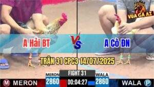 Trận 31 CPC3 14/07/2025 - Anh Hải Bến Tre Vs Anh Cò Đồng Nai