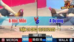 Trận 31 CPC3 15/07/2025 - Anh Hai Hóc Môn Vs Anh Dương