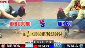 Trận 31 CPC1 1/7/2025 – Anh Dương Vs Anh Còi