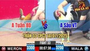 Trận 33 CPC3 14/07/2025 - Anh Tuấn Bình Dương Vs Anh Sáu Vũng Tàu