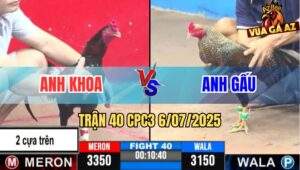 Trận 40 CPC3 6/7/2025 - Anh Khoa Bến Lức Vs Anh Gấu