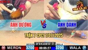 Trận 7 CPC1 1/7/2025 - Gà Bông Quá Bo Quá Khủng Đâm Đối Thủ Hết Cửa Về