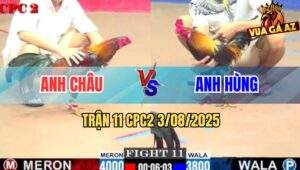 Trận 11 CPC2 3/8/2025 - Gà Anh Hùng Phản Chân Quyết Định Đỏ Lật Xe