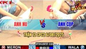 Trận 12 CPC2 6/8/2025 - Gà Úa Anh Nu Lỏn Lẻn, Nằm Sấp Sau Một Tay Nước