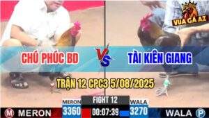 Trận 12 CPC3 5/8/2025 - Chú Phúc Rớt Nài Cái Thứ 2 Thua Hơn Tỷ