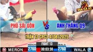Trận 13 CPC3 4/8/2025 - Chuối Hiệu Anh Phú Sài Gòn Báo Hại Hàng Sáo