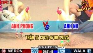 Trận 15 CPC2 6/8/2025 - Anh Phong Tiếp Tục Càn Quét Cánh Gà Bảo Sting