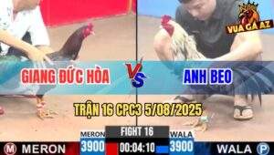 Trận 16 CPC3 5/8/2025 - So Nài Kịch Tính Giữa Anh Giàng Và Anh Beo