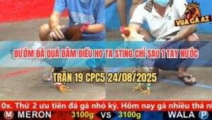 Trận 19 CPC5 24/8/2025 - Bướm Siết 1 Hơi Điều Sặc Máu Ngất Lịm