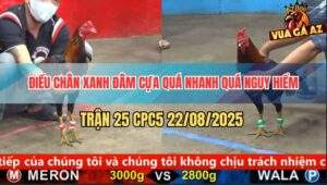 Trận 25 CPC5 22/8/2025 - Điều Chân Xanh Đâm Không Bỏ Chân Nào