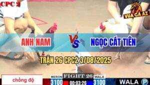 Trận 26 CPC2 3/8/2025 - Gà Điều Anh Nam Thi Lên Lớp Không Thàng Công