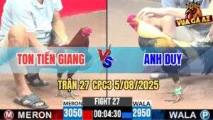 Trận 27 CPC3 5/8/2025 - Gà Chuối Anh Duy Đâm Phèn Anh Ton Hộc Máu