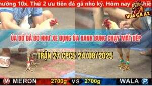 Trận 27 CPC5 24/8/2025 - Úa Đỏ Ra Đòn Uy Lực Xanh Bung Chạy Mất Tăm