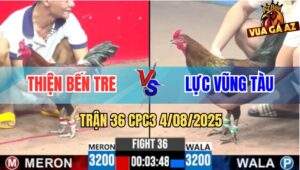 Trận 36 CPC3 4/8/2025 - Anh Thiện Bến Tre Và Anh Lực Vũng Tàu