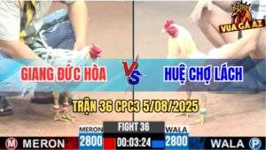 Trận 36 CPC3 5/8/2025 - Anh Giang Đức Hòa Và Anh Huệ Chợ Lách