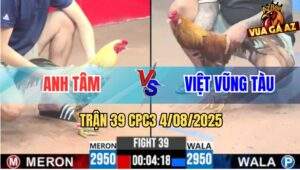 Trận 39 CPC3 4/8/2025 - Anh Tâm Đụng Anh Việt Vũng Tàu