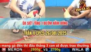 Trận 4 CPC5 26/8/2025 - Úa Chân Trắng Siết Cây Cổ Cần Bướm Nằm Đống