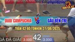 Trận 42 Bồ TonHon 27/8/2025 - Anh Duoi Campuchia Và Anh Gấu Bến Tre