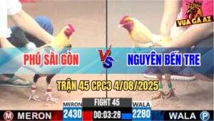 Trận 45 CPC3 4/8/2025 - Chuối Hiệu Anh Phú Đá Gà Bướm Kêu Vang Làng