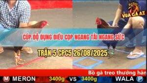 Trận 5 CPC5 26/8/2025 - Cúp Độ Đụng Điều Cọp Bất Phân Thắng Bại