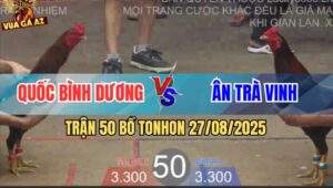 Trận 50 Bồ TonHon 27/8/2025 - Anh Quốc Bình Dương Và Anh Ân Trà Vinh