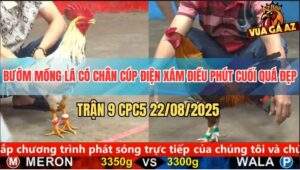 Trận 9 CPC5 22/8/2025 - Bướm Mồng Lá Vô Nước Khuya Tải Cựa Quá Đỉnh
