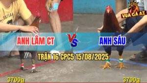 Trận 16 CPC5 Ngày 15/08/2025