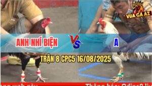 Trận 8 CPC5 Ngày 16/08/2025